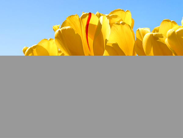 半分フレーになってしまった写真