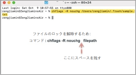 エラーコード43を修正するために、chflagsコマンドを入力する