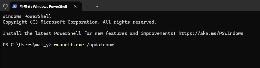 wuauclt.exe /updatenow