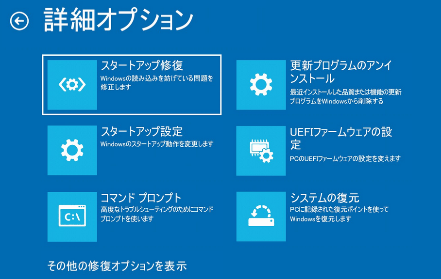 Perform a Windows Startup Repair