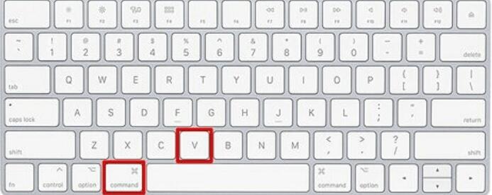 Command+Vでペーストする