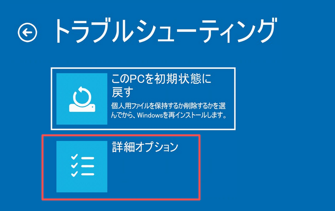 詳細オプションの選択