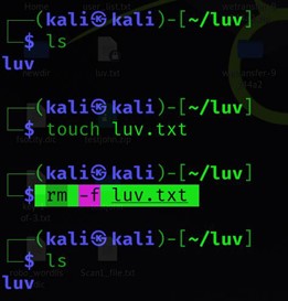 rm-fコマンドで削除します