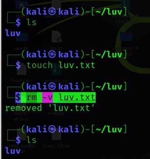 rm-vコマンドでファイルを削除します