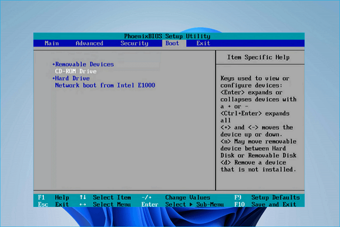 select USB as the boot drive