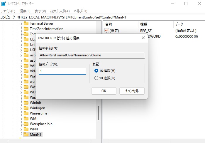 AllowRefsFormatOverNonmirrorVolume