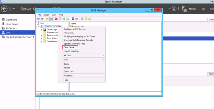 DNSコンソールでキャッシュをクリア