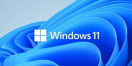 Windows 11のディスクをGPTに変換する