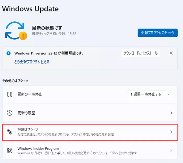 詳細オプション