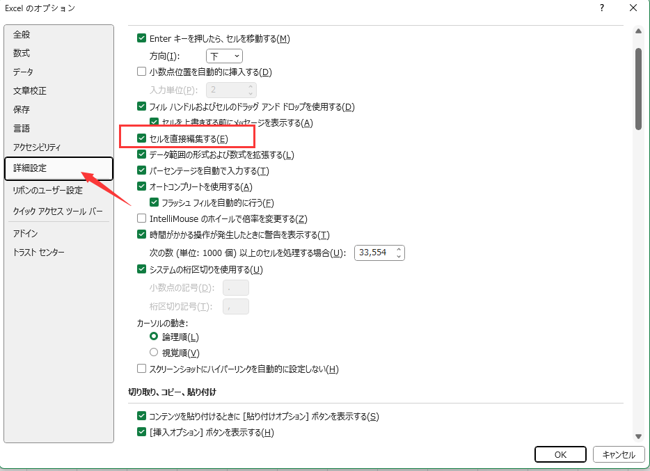 セルに直接編集を許可する