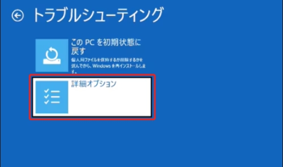 トラブルシューティング詳細オプション