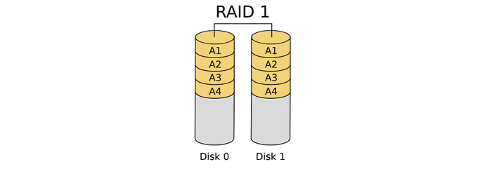 RAID 1