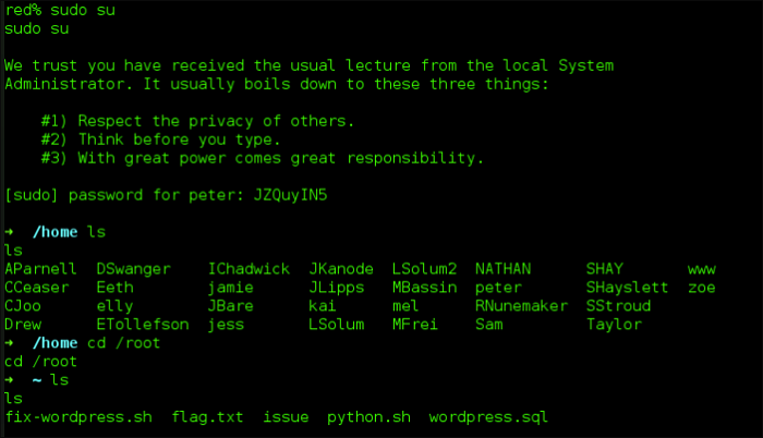 run-sudo-rpi-eeprom-updateを実行する