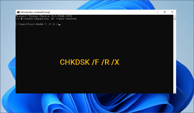 CHKDSK E: /f /r /x