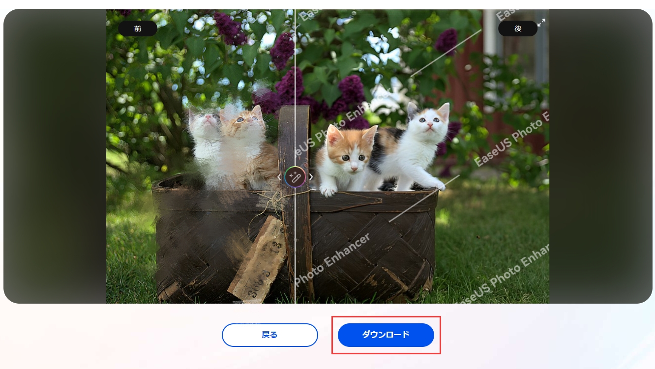 写真をダウンロード