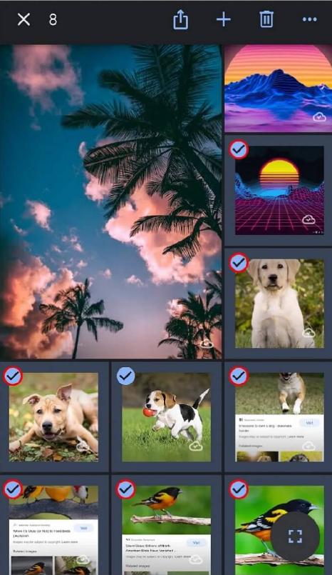 iPhoneまたはAndroid端末でGoogleフォトをiCloudに移動2