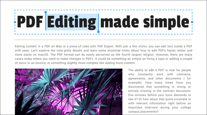 PDF Expert