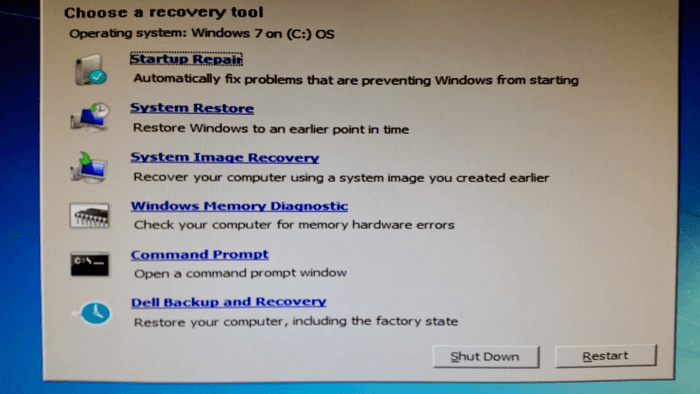 Dell backup and recovery что это