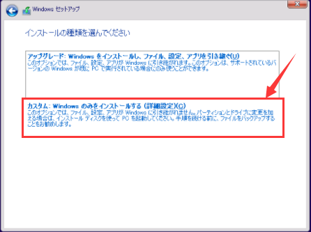 Windowsのみインストール(詳細設定)