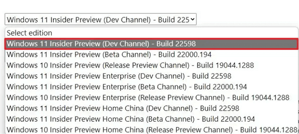 Windows Insider Programによって、Windows 11 22H2 ISO ファイルをダウンロード