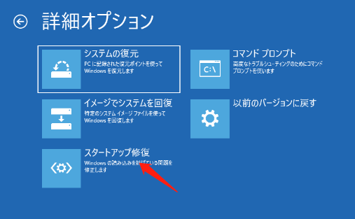 詳細オプション