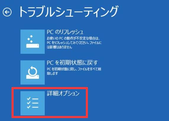 詳細オプション