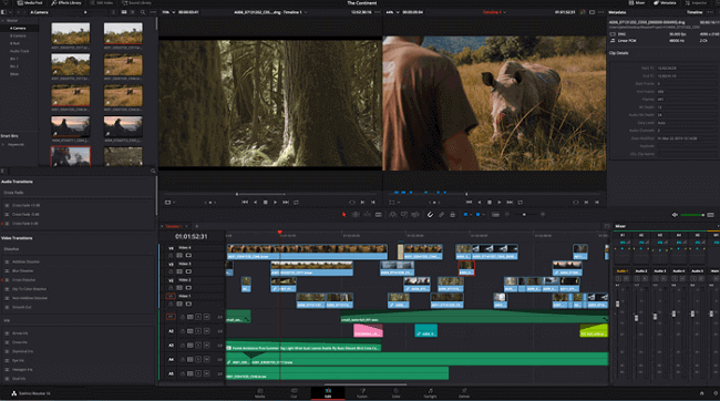 davinciresolve