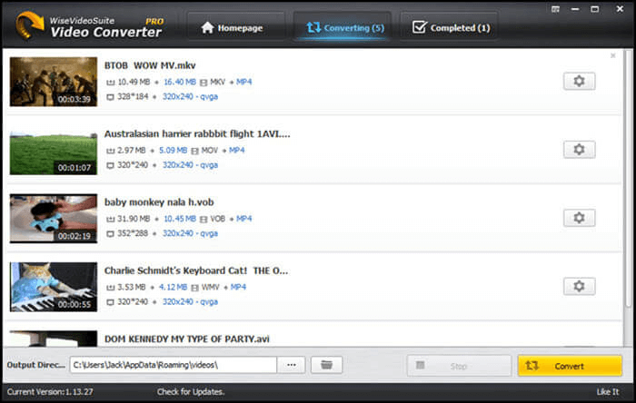 wise video converter