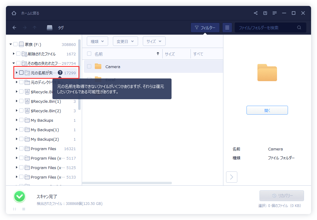 Windows版で「そのほかの紛失ファイル」(RAW)で表示されたスキャン結果